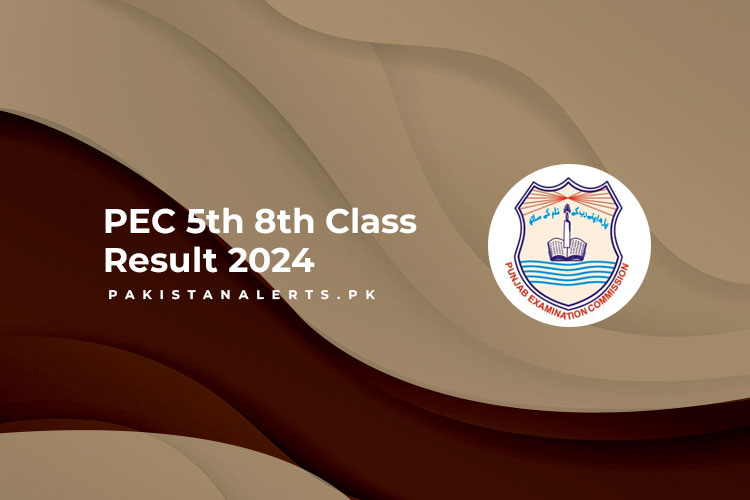 PEC 5th 8th Class Result 2024