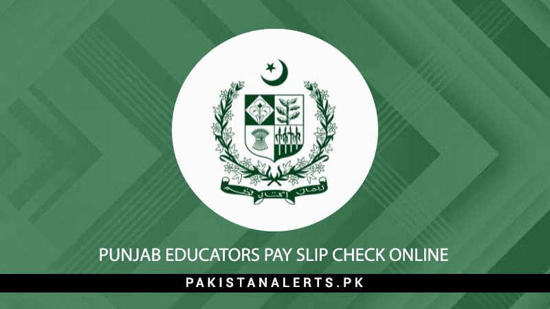 Punjab-Educators-Pay-Slip-Check-Online