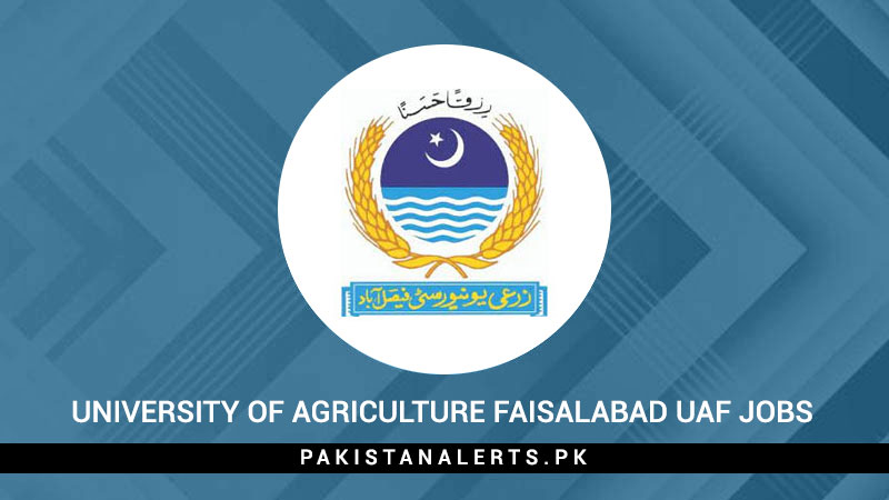 University-Of-Agriculture-Faisalabad-UAF-Jobs