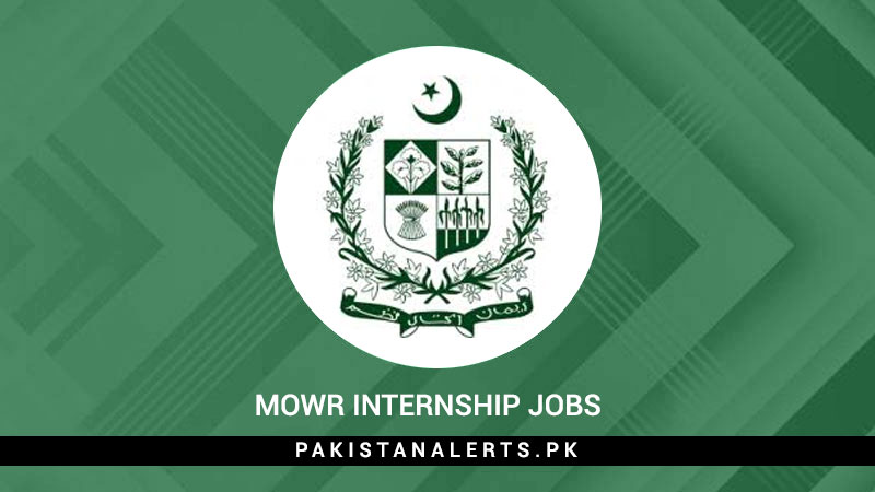 MOWR-Internship-Jobs