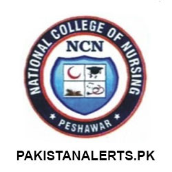 National College Of Nursing logo