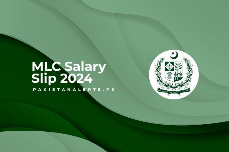 MLC Salary Slip 2024