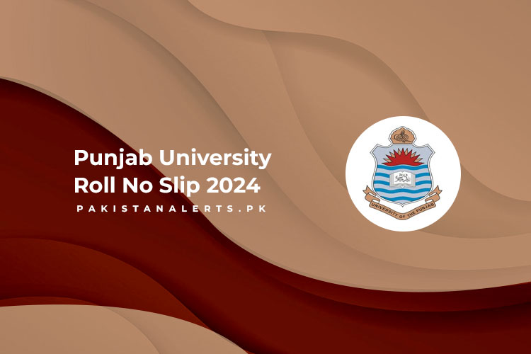 Punjab University Roll No Slip 2024