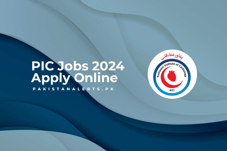 PIC Jobs 2024 Apply Online
